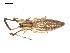  ( - BIOUG00519-D08)  @12 [ ] CC-0  G. Blagoev 2010 Unspecified