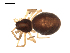  ( - BIOUG00519-H06)  @12 [ ] CC-0  G. Blagoev 2010 Unspecified