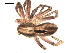  ( - BIOUG00519-H07)  @12 [ ] CC-0  G. Blagoev 2010 Unspecified