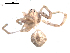  ( - BIOUG00519-H10)  @12 [ ] CC-0  G. Blagoev 2010 Unspecified