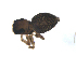  ( - BIOUG00520-D11)  @12 [ ] CC-0  G. Blagoev 2010 Unspecified