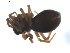  ( - BIOUG00520-E06)  @12 [ ] CC-0  G. Blagoev 2010 Unspecified