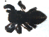  ( - BIOUG00520-E08)  @12 [ ] CC-0  G. Blagoev 2010 Unspecified