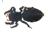  ( - BIOUG00520-E09)  @13 [ ] CC-0  G. Blagoev 2010 Unspecified
