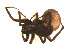  ( - BIOUG00521-A01)  @12 [ ] CC-0  G. Blagoev 2010 Unspecified