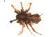  ( - BIOUG00521-B07)  @13 [ ] CC-0  G. Blagoev 2010 Unspecified