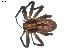  ( - BIOUG00521-C11)  @13 [ ] CC-0  G. Blagoev 2010 Unspecified