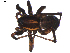  ( - BIOUG00521-F04)  @13 [ ] CC-0  G. Blagoev 2010 Unspecified