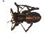  ( - BIOUG00521-G07)  @12 [ ] CC-0  G. Blagoev 2010 Unspecified
