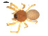 ( - BIOUG00529-G03)  @13 [ ] CC-0  G. Blagoev 2010 Unspecified