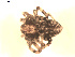  ( - BIOUG00530-A06)  @13 [ ] CC-0  G. Blagoev 2010 Unspecified