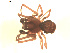  ( - BIOUG00530-A09)  @13 [ ] CC-0  G. Blagoev 2010 Unspecified