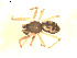  ( - BIOUG00530-B06)  @13 [ ] CC-0  G. Blagoev 2010 Unspecified