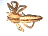  ( - BIOUG00530-F07)  @13 [ ] CC-0  G. Blagoev 2010 Unspecified