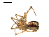  ( - BIOUG00612-A09)  @12 [ ] CC-0  G. Blagoev 2010 Unspecified