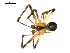  ( - BIOUG00612-C09)  @12 [ ] CC-0  G. Blagoev 2010 Unspecified