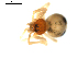  ( - BIOUG00612-G08)  @13 [ ] CC-0  G. Blagoev 2010 Unspecified