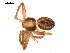  ( - CCDB-08825A02)  @13 [ ] CC-0  G. Blagoev 2010 Unspecified