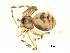  ( - CCDB-08825D09)  @13 [ ] CC-0  G. Blagoev 2010 Unspecified