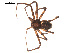  ( - 09PROBE-1658-01)  @13 [ ] CreativeCommons - Attribution (2009) Gergin Blagoev, Centre for Biodiversity Genomics Centre for Biodiversity Genomics