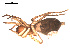  ( - 09PROBE-1660-01)  @12 [ ] CreativeCommons - Attribution (2009) Gergin Blagoev, Centre for Biodiversity Genomics Centre for Biodiversity Genomics