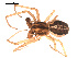  ( - 09PROBE-1662-01)  @13 [ ] CreativeCommons - Attribution (2009) Gergin Blagoev, Centre for Biodiversity Genomics Centre for Biodiversity Genomics