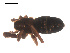  ( - 09PROBE-1674-01)  @12 [ ] CreativeCommons - Attribution (2009) Gergin Blagoev, Centre for Biodiversity Genomics Centre for Biodiversity Genomics