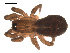  ( - 09PROBE-1680-04)  @13 [ ] CreativeCommons - Attribution (2009) Gergin Blagoev, Centre for Biodiversity Genomics Centre for Biodiversity Genomics