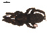  ( - 09PROBE-1705-02)  @12 [ ] CreativeCommons - Attribution (2009) Gergin Blagoev, Centre for Biodiversity Genomics Centre for Biodiversity Genomics