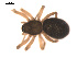  ( - 09PROBE-1709-01)  @13 [ ] CreativeCommons - Attribution (2009) Gergin Blagoev, Centre for Biodiversity Genomics Centre for Biodiversity Genomics