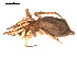  ( - 09PROBE-1715-03)  @12 [ ] CreativeCommons - Attribution (2009) Gergin Blagoev, Centre for Biodiversity Genomics Centre for Biodiversity Genomics