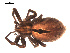 ( - 09PROBE-1800-01)  @13 [ ] CreativeCommons - Attribution (2009) Gergin Blagoev, Centre for Biodiversity Genomics Centre for Biodiversity Genomics