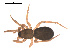  ( - 09PROBE-1814-01)  @13 [ ] CreativeCommons - Attribution (2009) Gergin Blagoev, Centre for Biodiversity Genomics Centre for Biodiversity Genomics