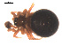  ( - 09PROBE-1832-01)  @13 [ ] CreativeCommons - Attribution (2009) Gergin Blagoev, Centre for Biodiversity Genomics Centre for Biodiversity Genomics