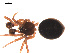  ( - 09PROBE-1843-01)  @12 [ ] CreativeCommons - Attribution (2009) Gergin Blagoev, Centre for Biodiversity Genomics Centre for Biodiversity Genomics