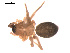  ( - 09PROBE-1847-01)  @12 [ ] CreativeCommons - Attribution (2009) Gergin Blagoev, Centre for Biodiversity Genomics Centre for Biodiversity Genomics