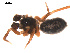  ( - 09PROBE-1849-01)  @12 [ ] CreativeCommons - Attribution (2009) Gergin Blagoev, Centre for Biodiversity Genomics Centre for Biodiversity Genomics