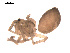  ( - 09PROBE-1853-01)  @12 [ ] CreativeCommons - Attribution (2009) Gergin Blagoev, Centre for Biodiversity Genomics Centre for Biodiversity Genomics