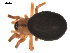  ( - 09PROBE-1885-01)  @12 [ ] CreativeCommons - Attribution (2009) Gergin Blagoev, Centre for Biodiversity Genomics Centre for Biodiversity Genomics