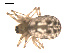  ( - 09PROBE-1978-109)  @12 [ ] CreativeCommons - Attribution (2009) Gergin Blagoev, Centre for Biodiversity Genomics Centre for Biodiversity Genomics