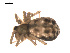  ( - 09PROBE-1978-138)  @12 [ ] CreativeCommons - Attribution (2009) Gergin Blagoev, Centre for Biodiversity Genomics Centre for Biodiversity Genomics