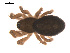  ( - 09PROBE-1978-219)  @14 [ ] CreativeCommons - Attribution (2009) Gergin Blagoev, Centre for Biodiversity Genomics Centre for Biodiversity Genomics