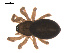  ( - 09PROBE-1978-224)  @13 [ ] CreativeCommons - Attribution (2009) Gergin Blagoev, Centre for Biodiversity Genomics Centre for Biodiversity Genomics