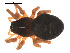  ( - 09PROBE-1978-23)  @12 [ ] CreativeCommons - Attribution (2010) Unspecified Centre for Biodiversity Genomics