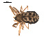  ( - 09PROBE-1978-254)  @13 [ ] CreativeCommons - Attribution (2009) Gergin Blagoev, Centre for Biodiversity Genomics Centre for Biodiversity Genomics