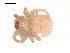  ( - 09PROBE-1978-314)  @13 [ ] CreativeCommons - Attribution (2009) Gergin Blagoev, Centre for Biodiversity Genomics Centre for Biodiversity Genomics