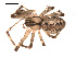  ( - 09PROBE-1978-377)  @13 [ ] CreativeCommons - Attribution (2009) Gergin Blagoev, Centre for Biodiversity Genomics Centre for Biodiversity Genomics
