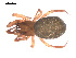  ( - 09PROBE-1978-384)  @13 [ ] CreativeCommons - Attribution (2009) Gergin Blagoev, Centre for Biodiversity Genomics Centre for Biodiversity Genomics