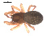  ( - 09PROBE-1978-386)  @12 [ ] CreativeCommons - Attribution (2009) Gergin Blagoev, Centre for Biodiversity Genomics Centre for Biodiversity Genomics
