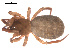  ( - 09PROBE-1978-389)  @12 [ ] CreativeCommons - Attribution (2009) Gergin Blagoev, Centre for Biodiversity Genomics Centre for Biodiversity Genomics